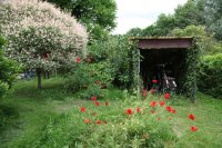 ein Bild aus dem Album